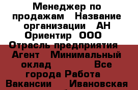 Менеджер по продажам › Название организации ­ АН Ориентир, ООО › Отрасль предприятия ­ Агент › Минимальный оклад ­ 50 000 - Все города Работа » Вакансии   . Ивановская обл.